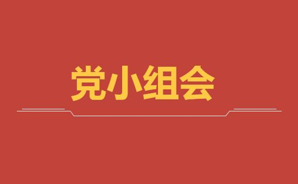 公司第二黨支部第一黨小組召開線上黨小組學(xué)習(xí)會議